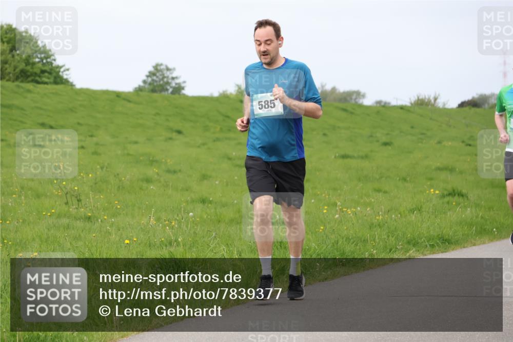 04.05.2025 - 8. Wedeler Halbmarathon Lena Gebhardt http://msf.ph/oto/7839377 04.05.2025 11:43:19 Laufen 585 meine-sportfotos.de