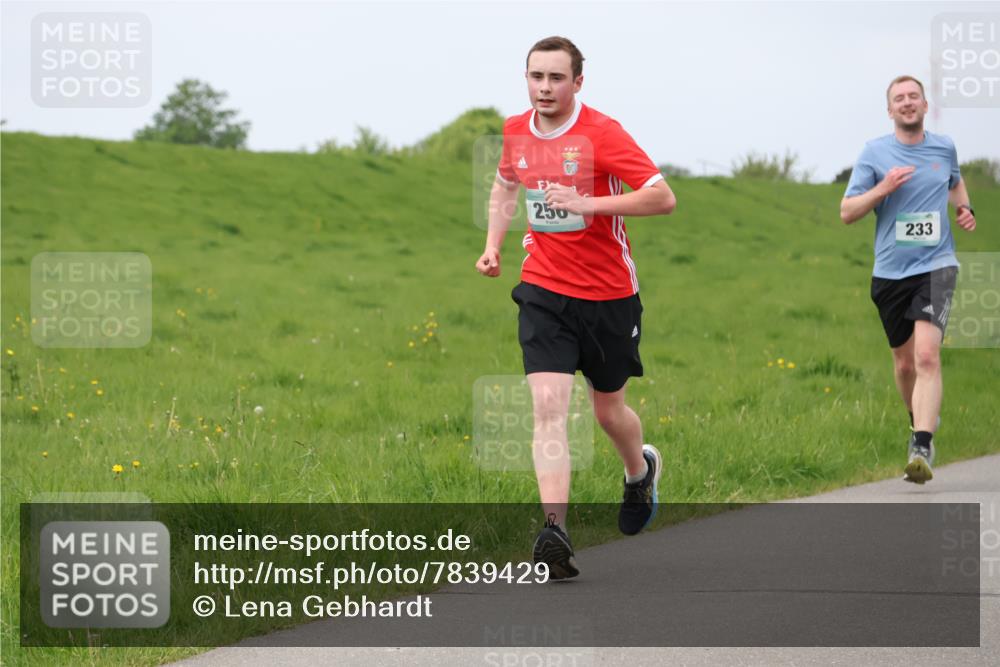 04.05.2025 - 8. Wedeler Halbmarathon Lena Gebhardt http://msf.ph/oto/7839429 04.05.2025 11:43:42 Laufen 250, 233 meine-sportfotos.de