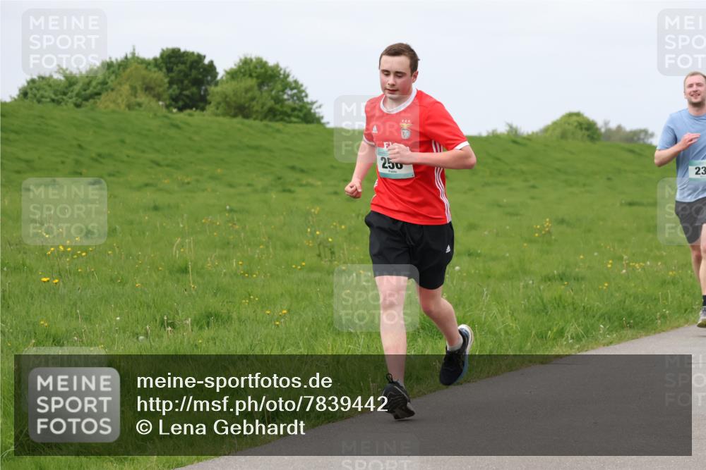 04.05.2025 - 8. Wedeler Halbmarathon Lena Gebhardt http://msf.ph/oto/7839442 04.05.2025 11:43:43 Laufen 250, 23 meine-sportfotos.de