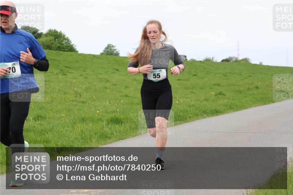 04.05.2025 - 8. Wedeler Halbmarathon Lena Gebhardt http://msf.ph/oto/7840250 04.05.2025 11:47:24 Laufen 70, 55, 55 meine-sportfotos.de