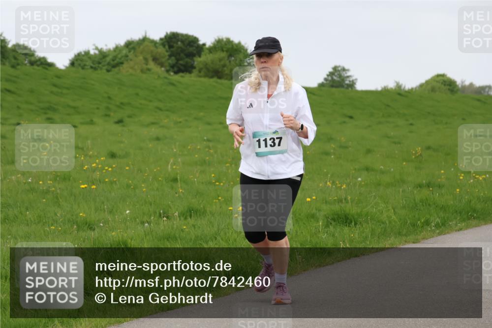 04.05.2025 - 8. Wedeler Halbmarathon Lena Gebhardt http://msf.ph/oto/7842460 04.05.2025 12:16:14 Laufen 1137 meine-sportfotos.de