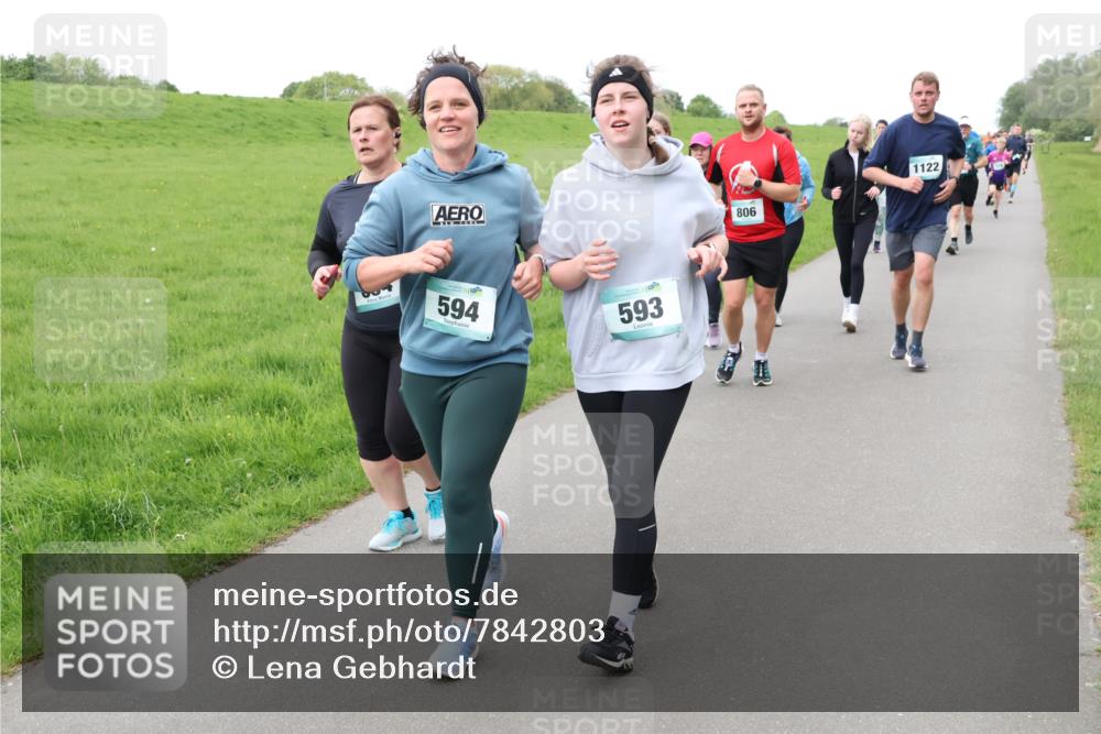 04.05.2025 - 8. Wedeler Halbmarathon Lena Gebhardt http://msf.ph/oto/7842803 04.05.2025 11:23:25 Laufen  meine-sportfotos.de