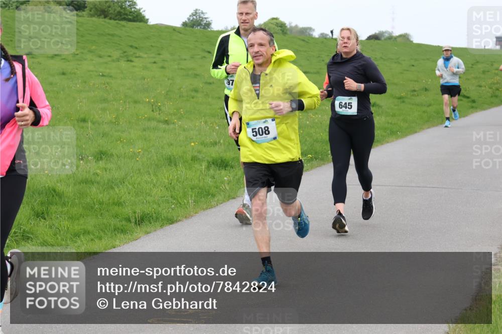 04.05.2025 - 8. Wedeler Halbmarathon Lena Gebhardt http://msf.ph/oto/7842824 04.05.2025 11:25:24 Laufen  meine-sportfotos.de