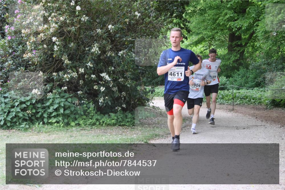 17.05.2025 - Störlauf Strokosch-Dieckow http://msf.ph/oto/7844537 17.05.2025 18:52:06 Laufen 4611, 909, 029 meine-sportfotos.de