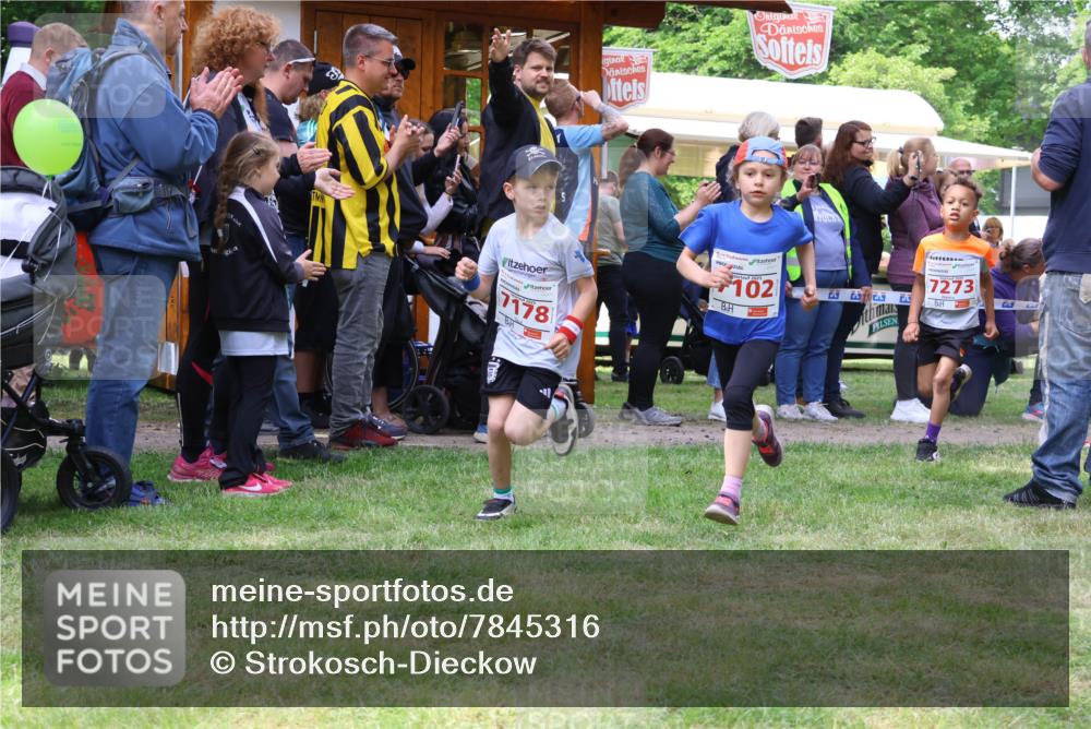 17.05.2025 - Störlauf Strokosch-Dieckow http://msf.ph/oto/7845316 17.05.2025 13:02:08 Laufen 7178, 102, 7273 meine-sportfotos.de