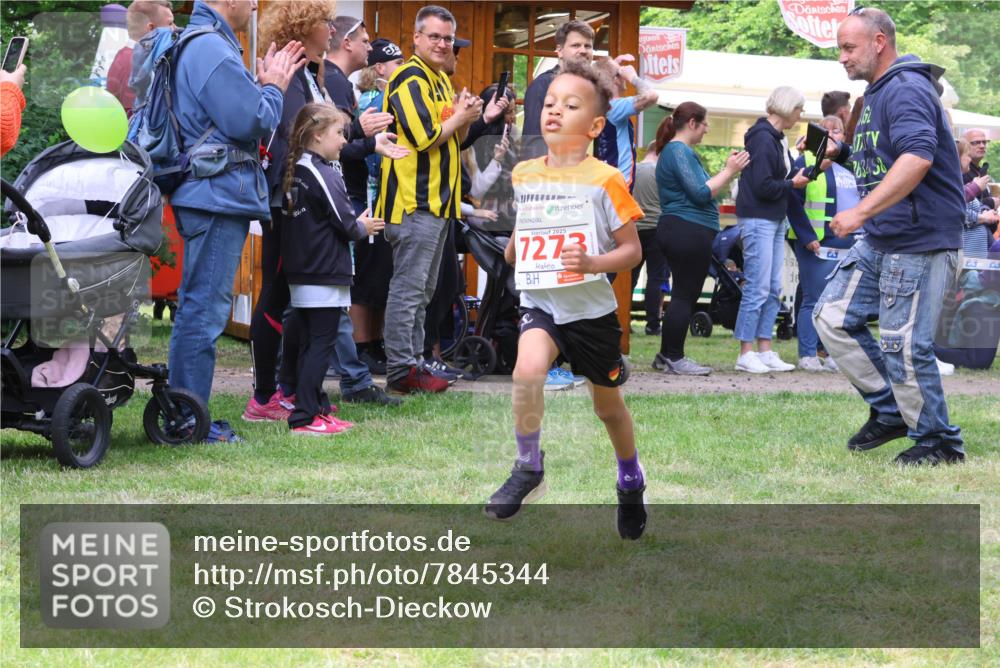 17.05.2025 - Störlauf Strokosch-Dieckow http://msf.ph/oto/7845344 17.05.2025 13:02:10 Laufen 2025, 7273, 3458 meine-sportfotos.de