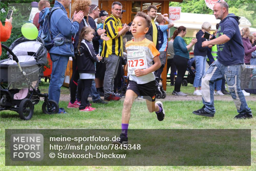 17.05.2025 - Störlauf Strokosch-Dieckow http://msf.ph/oto/7845348 17.05.2025 13:02:10 Laufen 2025, 12731, 125, 2, 03, 1 meine-sportfotos.de