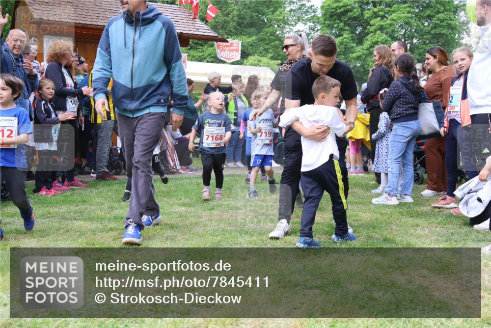 17.05.2025 - Störlauf Strokosch-Dieckow http://msf.ph/oto/7845411 17.05.2025 13:02:34 Laufen 12, 31, 145, 19, 7168, 7191, 17, 32 meine-sportfotos.de