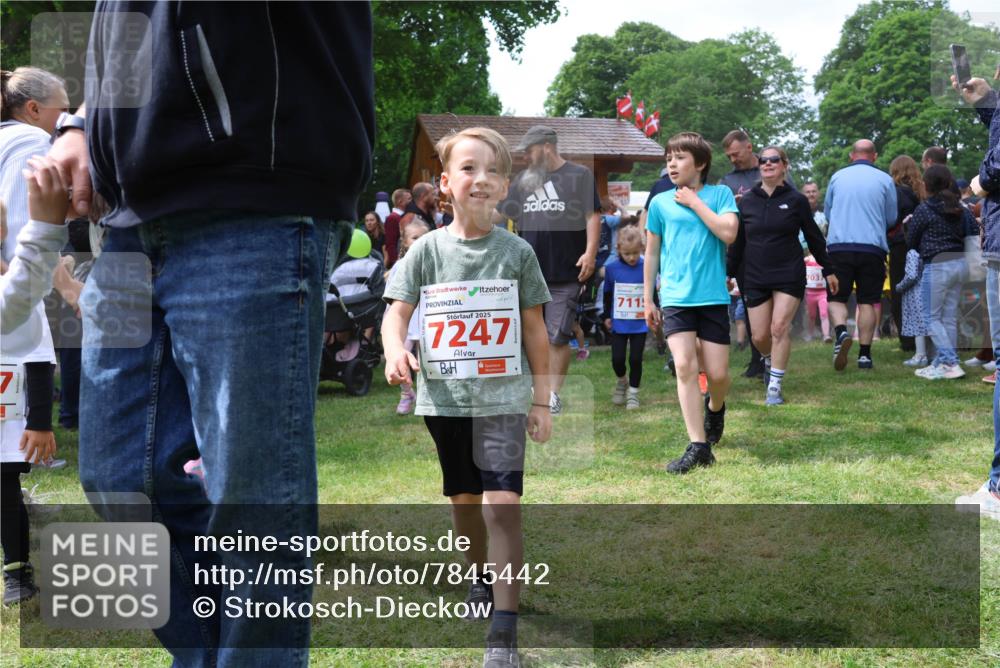 17.05.2025 - Störlauf Strokosch-Dieckow http://msf.ph/oto/7845442 17.05.2025 13:02:45 Laufen 2025, 7247, 037, 711 meine-sportfotos.de