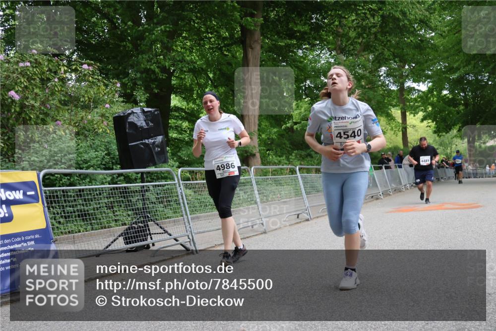 17.05.2025 - Störlauf Strokosch-Dieckow http://msf.ph/oto/7845500 17.05.2025 19:14:23 Ziel 4986, 4540, 4481 meine-sportfotos.de