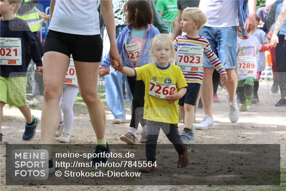 17.05.2025 - Störlauf Strokosch-Dieckow http://msf.ph/oto/7845564 17.05.2025 13:05:54 Laufen 2025, 021, 0, 2025, 22, 2025, 7023, 7289, 10, 2025, 7268 meine-sportfotos.de