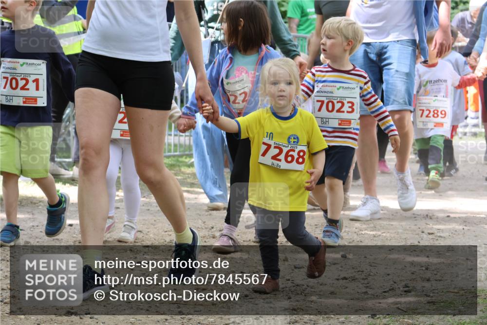 17.05.2025 - Störlauf Strokosch-Dieckow http://msf.ph/oto/7845567 17.05.2025 13:05:54 Laufen 2025, 7021, 20, 2, 2025, 22, 2025, 7023, 7289, 10, 2025, 7268 meine-sportfotos.de
