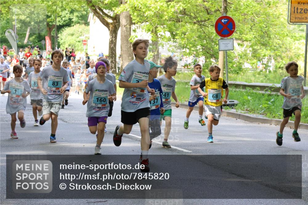 17.05.2025 - Störlauf Strokosch-Dieckow http://msf.ph/oto/7845820 17.05.2025 13:31:00 Laufen 81, 83, 160, 37, 68, 349 meine-sportfotos.de