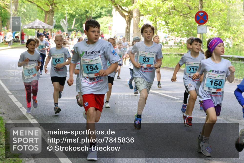 17.05.2025 - Störlauf Strokosch-Dieckow http://msf.ph/oto/7845836 17.05.2025 13:31:02 Laufen 246, 65, 66, 2025, 194, 83, 2025, 216, 2025, 160 meine-sportfotos.de