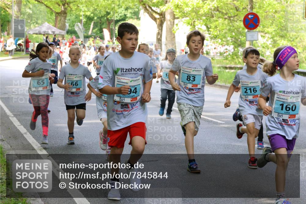 17.05.2025 - Störlauf Strokosch-Dieckow http://msf.ph/oto/7845844 17.05.2025 13:31:02 Laufen 246, 65, 66, 994, 83, 216, 2025, 160 meine-sportfotos.de