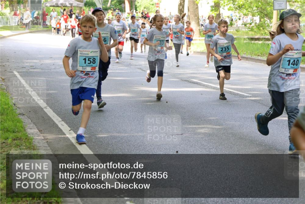 17.05.2025 - Störlauf Strokosch-Dieckow http://msf.ph/oto/7845856 17.05.2025 13:31:05 Laufen 91, 98, 40, 20, 158, 285, 248, 284, 235, 140 meine-sportfotos.de