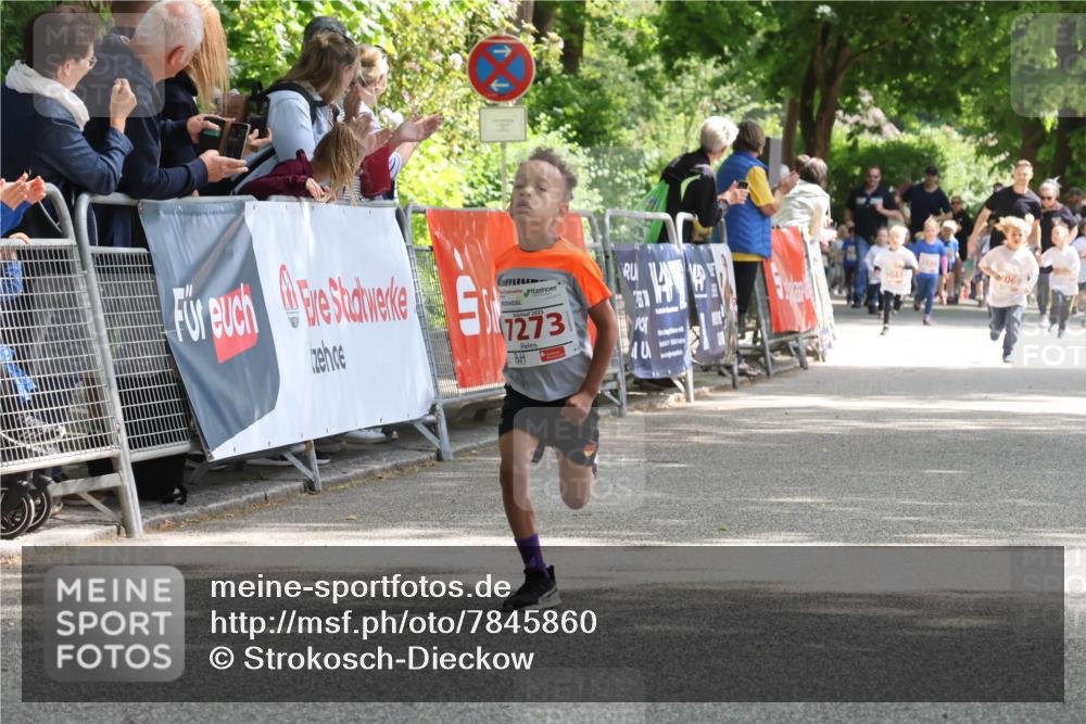 17.05.2025 - Störlauf Strokosch-Dieckow http://msf.ph/oto/7845860 17.05.2025 13:01:26 Ziel 7273, 7047, 069 meine-sportfotos.de