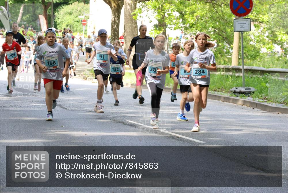17.05.2025 - Störlauf Strokosch-Dieckow http://msf.ph/oto/7845863 17.05.2025 13:31:07 Laufen 152, 285, 85, 284, 208, 293, 198, 91 meine-sportfotos.de