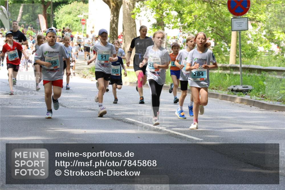 17.05.2025 - Störlauf Strokosch-Dieckow http://msf.ph/oto/7845868 17.05.2025 13:31:07 Laufen 208, 98, 91, 152, 284 meine-sportfotos.de