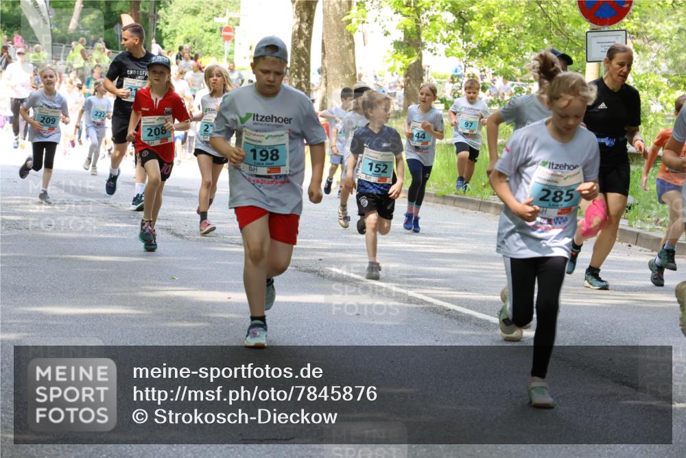 17.05.2025 - Störlauf Strokosch-Dieckow http://msf.ph/oto/7845876 17.05.2025 13:31:09 Laufen 44, 209, 222, 208, 2, 198, 152, 97, 13, 05, 200, 285 meine-sportfotos.de