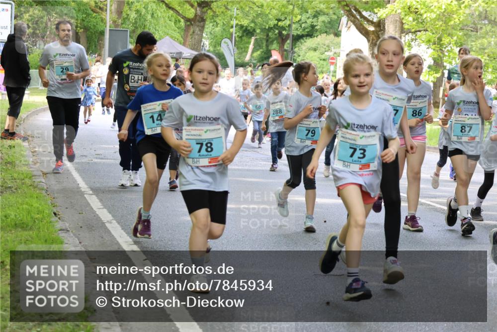 17.05.2025 - Störlauf Strokosch-Dieckow http://msf.ph/oto/7845934 17.05.2025 13:31:24 Laufen 259, 29, 14, 78, 60, 288, 79, 2025, 73, 86 meine-sportfotos.de