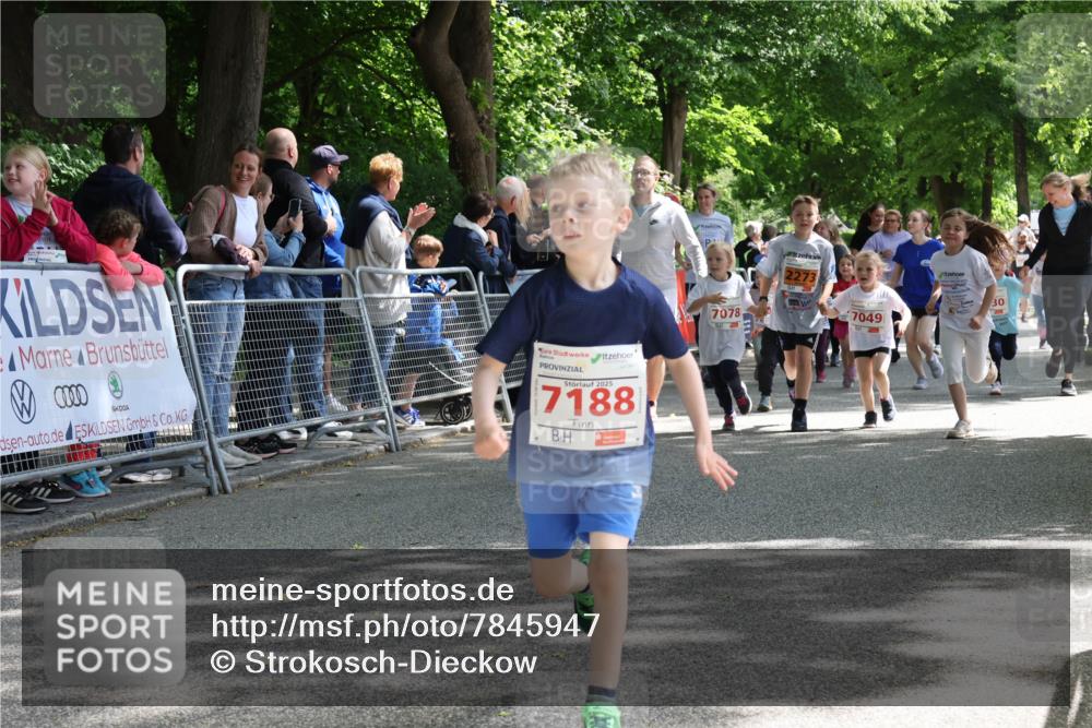 17.05.2025 - Störlauf Strokosch-Dieckow http://msf.ph/oto/7845947 17.05.2025 13:02:07 Ziel 2025, 7188, 2273, 7078, 7049, 30 meine-sportfotos.de