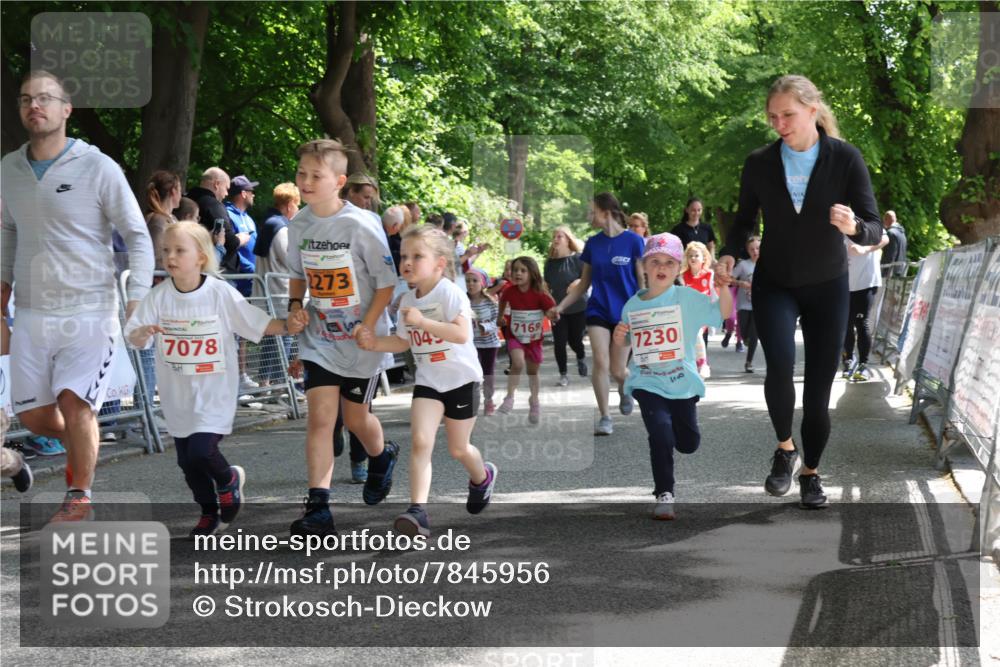 17.05.2025 - Störlauf Strokosch-Dieckow http://msf.ph/oto/7845956 17.05.2025 13:02:10 Ziel 7078, 2273, 704, 7169, 7230, 43 meine-sportfotos.de