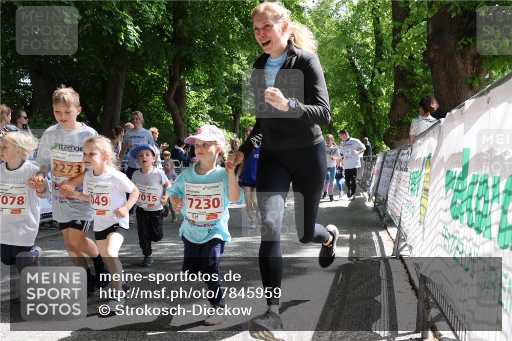 17.05.2025 - Störlauf Strokosch-Dieckow http://msf.ph/oto/7845959 17.05.2025 13:02:11 Ziel 2025, 2273, 0491, 2025, 078, 1015, 2025, 7230 meine-sportfotos.de