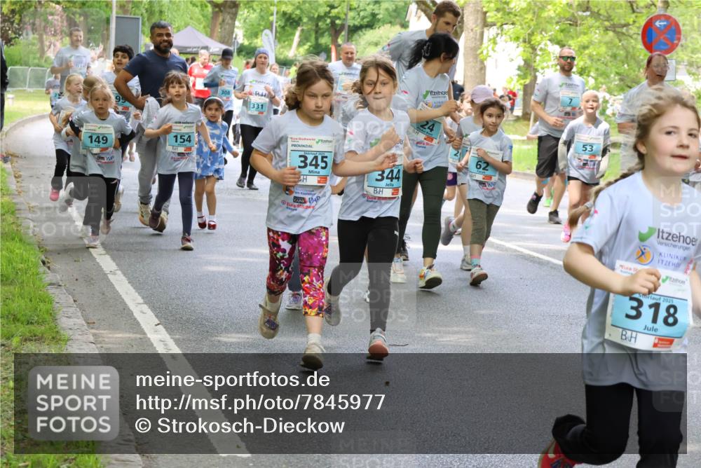17.05.2025 - Störlauf Strokosch-Dieckow http://msf.ph/oto/7845977 17.05.2025 13:31:33 Laufen 149, 154, 308, 331, 2025, 345, 344, 62, 53, 2025, 318 meine-sportfotos.de