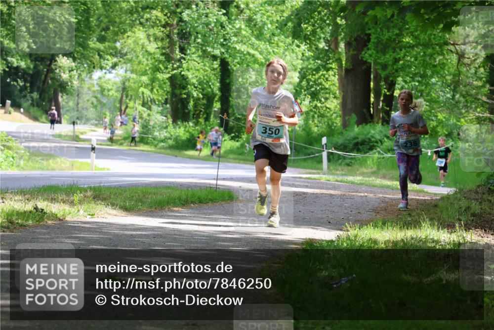 17.05.2025 - Störlauf Strokosch-Dieckow http://msf.ph/oto/7846250 17.05.2025 13:38:00 Laufen 350, 238 meine-sportfotos.de