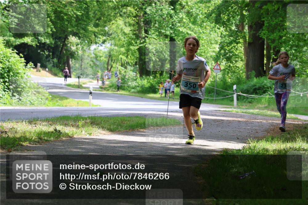 17.05.2025 - Störlauf Strokosch-Dieckow http://msf.ph/oto/7846266 17.05.2025 13:38:01 Laufen 350, 238 meine-sportfotos.de
