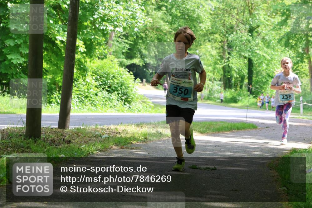 17.05.2025 - Störlauf Strokosch-Dieckow http://msf.ph/oto/7846269 17.05.2025 13:38:03 Laufen 350, 238 meine-sportfotos.de