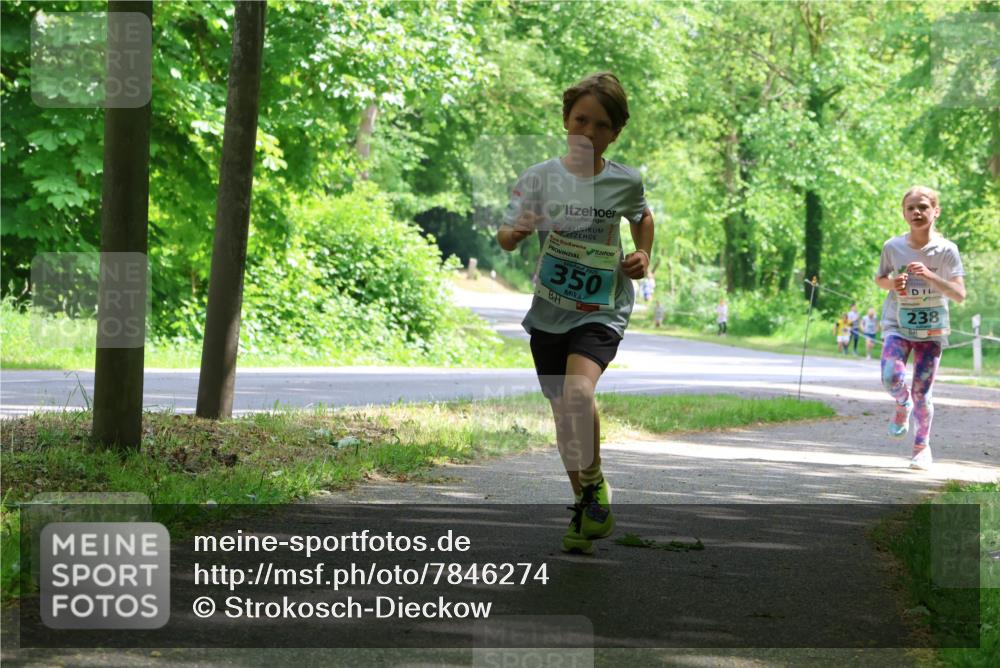 17.05.2025 - Störlauf Strokosch-Dieckow http://msf.ph/oto/7846274 17.05.2025 13:38:03 Laufen 350, 238 meine-sportfotos.de