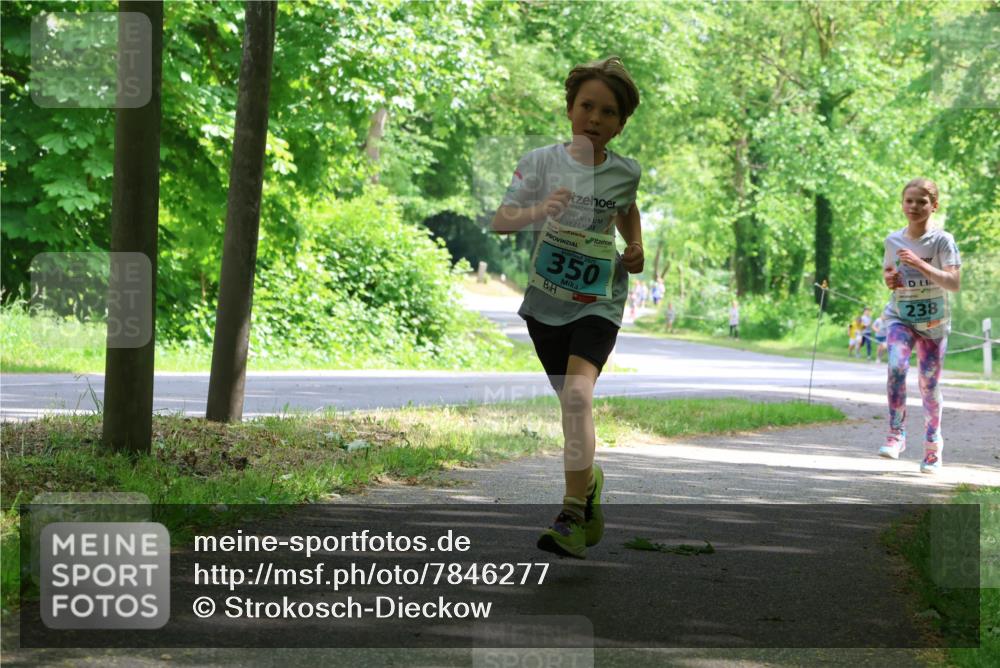 17.05.2025 - Störlauf Strokosch-Dieckow http://msf.ph/oto/7846277 17.05.2025 13:38:03 Laufen 2025, 350, 238 meine-sportfotos.de