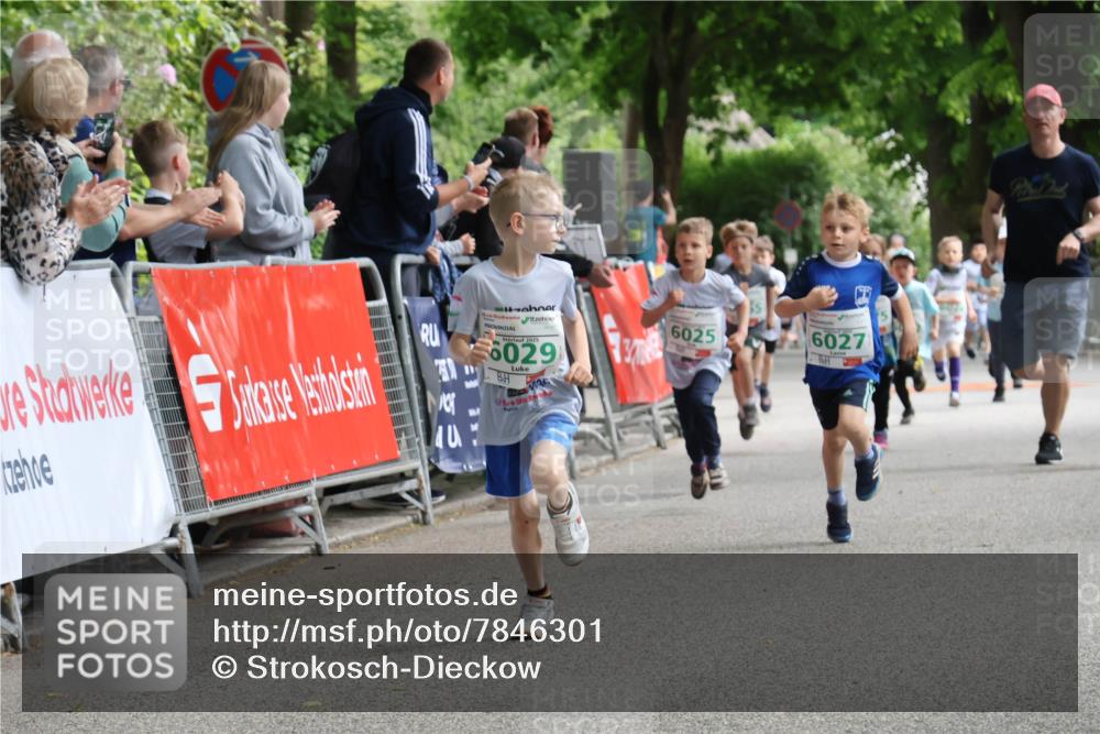 17.05.2025 - Störlauf Strokosch-Dieckow http://msf.ph/oto/7846301 17.05.2025 13:16:18 Ziel 2025, 6029, 6025, 6027 meine-sportfotos.de