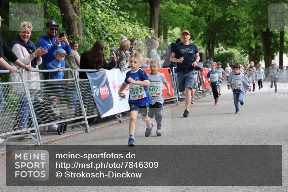 17.05.2025 - Störlauf Strokosch-Dieckow http://msf.ph/oto/7846309 17.05.2025 13:16:20 Ziel 6027, 6025, 6075, 6058, 6028, 507 meine-sportfotos.de