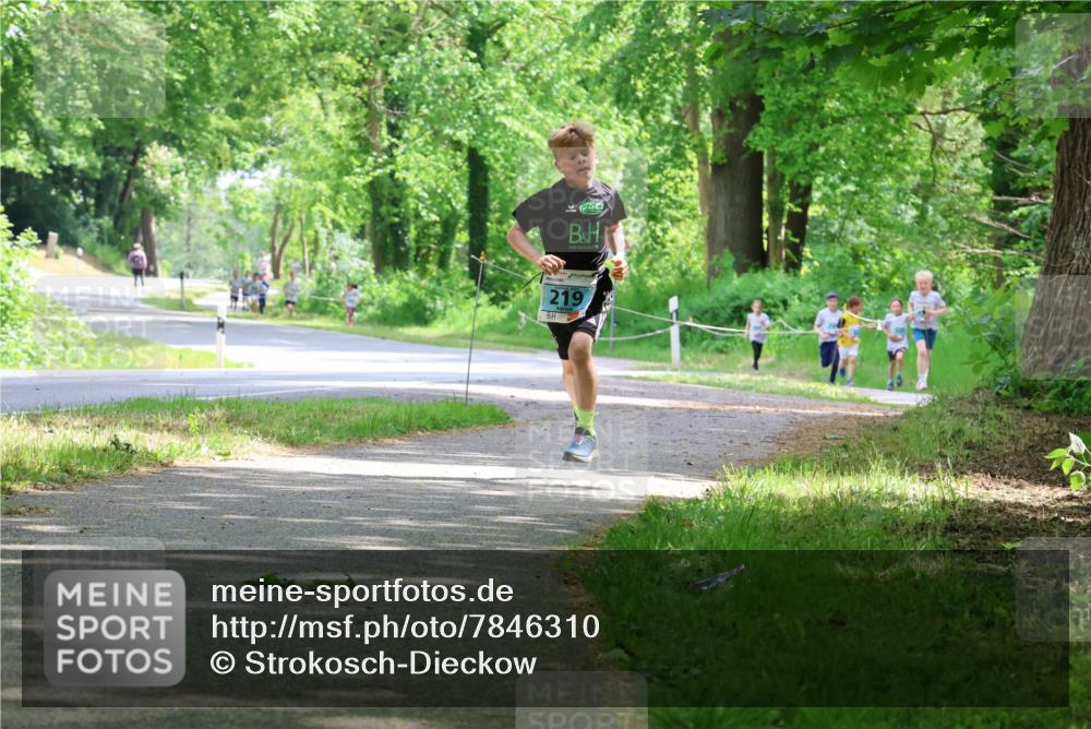 17.05.2025 - Störlauf Strokosch-Dieckow http://msf.ph/oto/7846310 17.05.2025 13:38:13 Laufen 219 meine-sportfotos.de