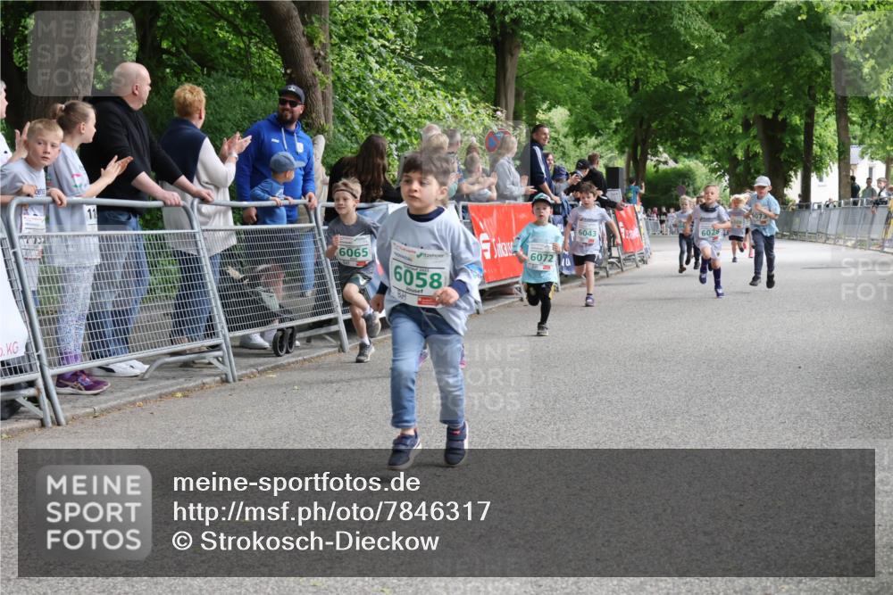 17.05.2025 - Störlauf Strokosch-Dieckow http://msf.ph/oto/7846317 17.05.2025 13:16:24 Ziel 11, 6065, 6058, 6072, 0, 6028, 6043 meine-sportfotos.de