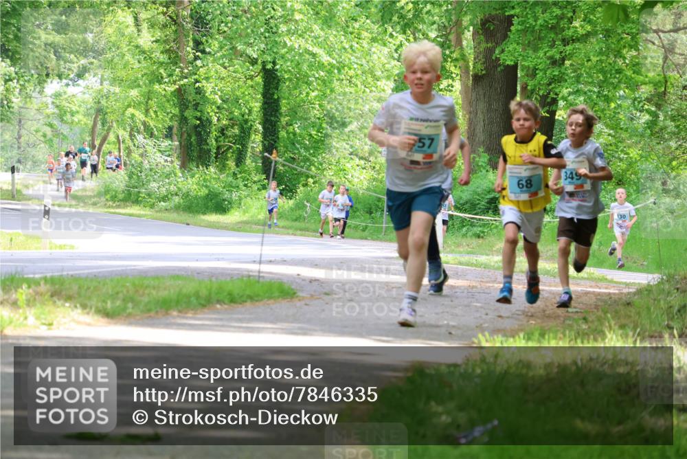 17.05.2025 - Störlauf Strokosch-Dieckow http://msf.ph/oto/7846335 17.05.2025 13:38:24 Laufen 57, 68, 349, 30 meine-sportfotos.de