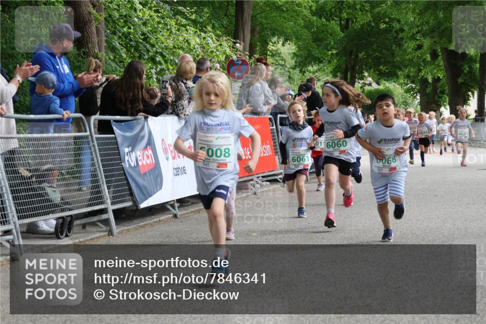 17.05.2025 - Störlauf Strokosch-Dieckow http://msf.ph/oto/7846341 17.05.2025 13:16:32 Ziel 255, 008, 6061, 0116060, 6046, 006, 6023, 10068, 55 meine-sportfotos.de