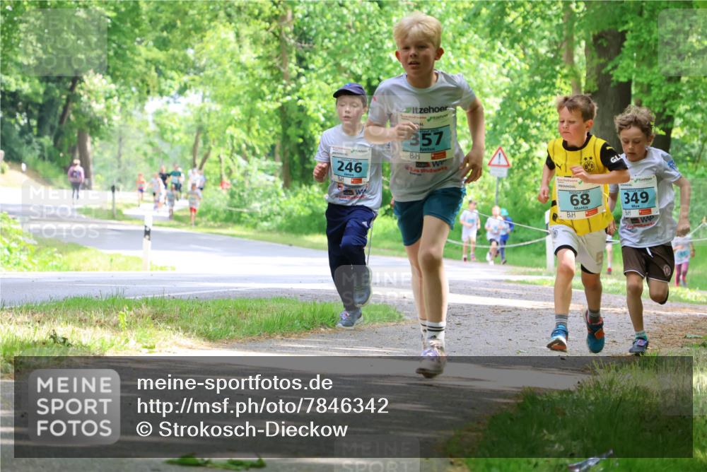 17.05.2025 - Störlauf Strokosch-Dieckow http://msf.ph/oto/7846342 17.05.2025 13:38:25 Laufen 246, 2023, 357, 68, 349 meine-sportfotos.de