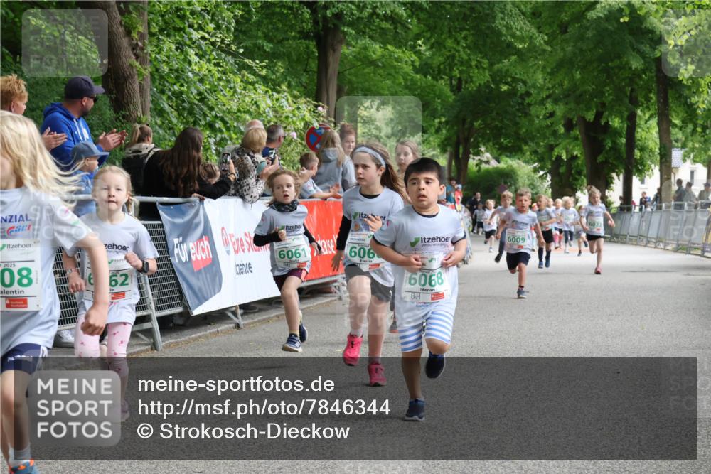 17.05.2025 - Störlauf Strokosch-Dieckow http://msf.ph/oto/7846344 17.05.2025 13:16:34 Ziel 2025, 08, 62, 6061, 6009, 6023, 606, 6068 meine-sportfotos.de