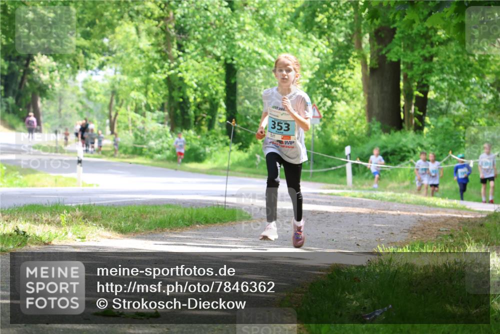 17.05.2025 - Störlauf Strokosch-Dieckow http://msf.ph/oto/7846362 17.05.2025 13:38:30 Laufen 353, 197 meine-sportfotos.de