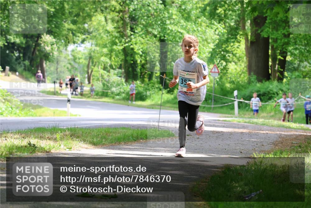 17.05.2025 - Störlauf Strokosch-Dieckow http://msf.ph/oto/7846370 17.05.2025 13:38:30 Laufen 2025, 35 meine-sportfotos.de