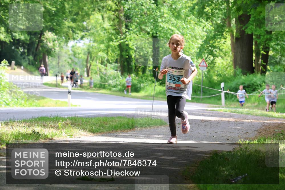 17.05.2025 - Störlauf Strokosch-Dieckow http://msf.ph/oto/7846374 17.05.2025 13:38:30 Laufen 353 meine-sportfotos.de