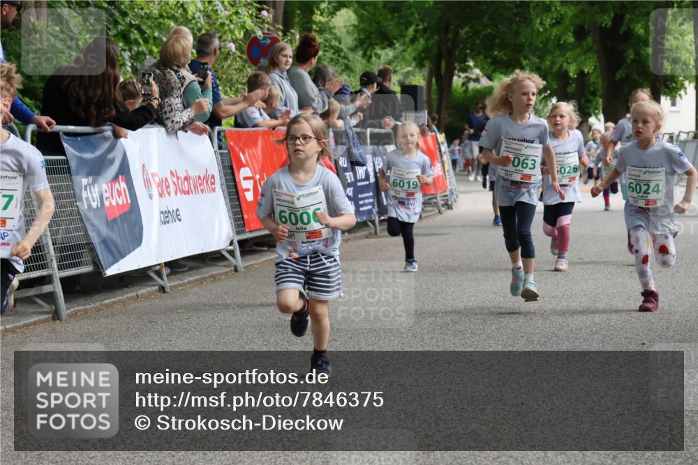 17.05.2025 - Störlauf Strokosch-Dieckow http://msf.ph/oto/7846375 17.05.2025 13:16:46 Ziel 7, 2025, 600, 6019, 063, 026, 6024 meine-sportfotos.de