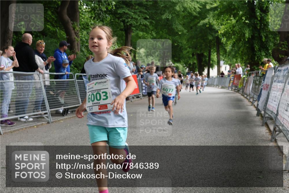 17.05.2025 - Störlauf Strokosch-Dieckow http://msf.ph/oto/7846389 17.05.2025 13:16:51 Ziel 2025, 6003, 6034, 6077 meine-sportfotos.de