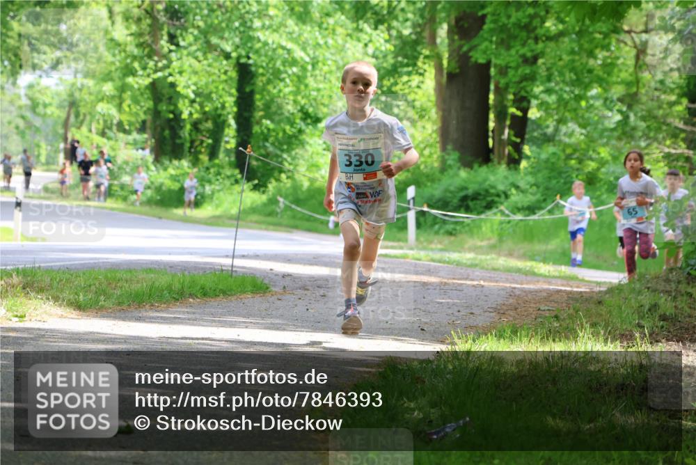 17.05.2025 - Störlauf Strokosch-Dieckow http://msf.ph/oto/7846393 17.05.2025 13:38:36 Laufen 330, 65 meine-sportfotos.de