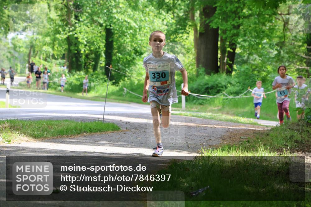 17.05.2025 - Störlauf Strokosch-Dieckow http://msf.ph/oto/7846397 17.05.2025 13:38:36 Laufen 2025, 330, 65 meine-sportfotos.de