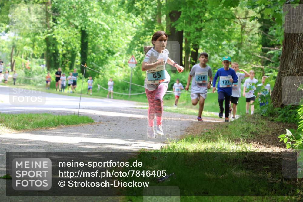 17.05.2025 - Störlauf Strokosch-Dieckow http://msf.ph/oto/7846405 17.05.2025 13:38:41 Laufen 65, 216, 137 meine-sportfotos.de